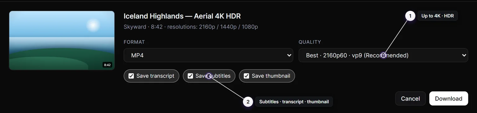 Choosing quality and format before downloading
